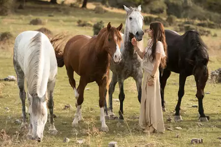 Wicher – dzikie konie - galeria zdjęć - filmweb