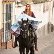 Wicher – dzikie konie - galeria zdjęć - filmweb