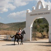 Ostwind 3: Aufbruch nach Ora - galeria zdjęć - filmweb