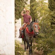 Ostwind 3: Aufbruch nach Ora - galeria zdjęć - filmweb