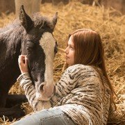 Ostwind 3: Aufbruch nach Ora - galeria zdjęć - filmweb