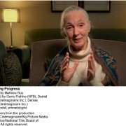 Pułapki rozwoju - galeria zdjęć - filmweb