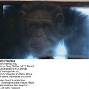 Surviving Progress - galeria zdjęć - filmweb