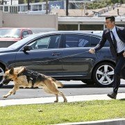 Battle Creek - galeria zdjęć - filmweb