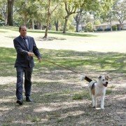 Battle Creek - galeria zdjęć - filmweb