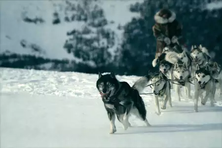 Togo - galeria zdjęć - filmweb