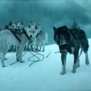 Togo - galeria zdjęć - filmweb