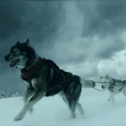 Togo - galeria zdjęć - filmweb