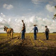 Mudbound - galeria zdjęć - filmweb