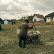 Mudbound - galeria zdjęć - filmweb