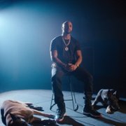 Canine Intervention - galeria zdjęć - filmweb