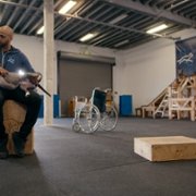 Psi terapeuta w akcji - galeria zdjęć - filmweb