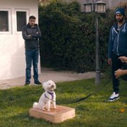 Psi terapeuta w akcji - galeria zdjęć - filmweb