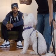 Canine Intervention - galeria zdjęć - filmweb