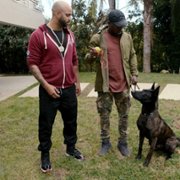 Canine Intervention - galeria zdjęć - filmweb