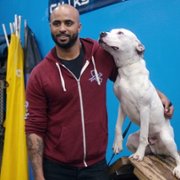 Canine Intervention - galeria zdjęć - filmweb