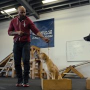 Canine Intervention - galeria zdjęć - filmweb