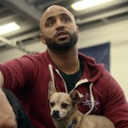 Canine Intervention - galeria zdjęć - filmweb