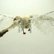 (Bez tytułu) - galeria zdjęć - filmweb