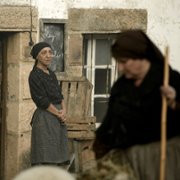Cicha wojna - galeria zdjęć - filmweb