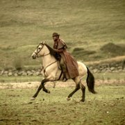 Sordo - galeria zdjęć - filmweb