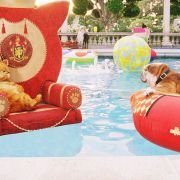Garfield 2 - galeria zdjęć - filmweb