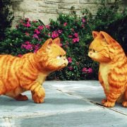 Garfield: A Tail of Two Kitties - galeria zdjęć - filmweb