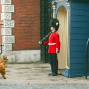 Garfield: A Tail of Two Kitties - galeria zdjęć - filmweb