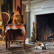 Garfield: A Tail of Two Kitties - galeria zdjęć - filmweb