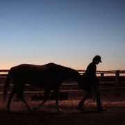 Lean on Pete - galeria zdjęć - filmweb