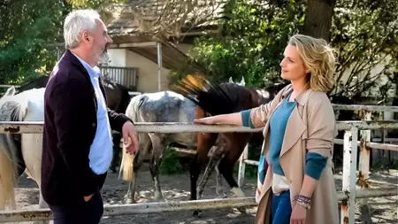 Komisarz Mama - galeria zdjęć - filmweb