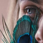 A metamorfose dos pássaros - galeria zdjęć - filmweb