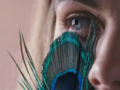 Metamorfoza ptaków - galeria zdjęć - filmweb