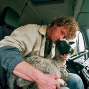 Sluneční stát - galeria zdjęć - filmweb