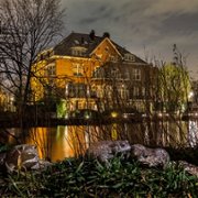 Świat według kota - galeria zdjęć - filmweb