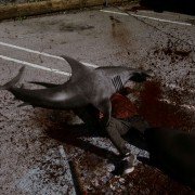 Sharknado - galeria zdjęć - filmweb