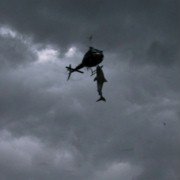 Sharknado - galeria zdjęć - filmweb