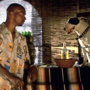 Bulletproof - galeria zdjęć - filmweb