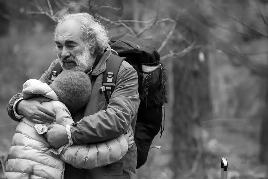Zielona granica - galeria zdjęć - filmweb