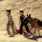 Radio Flyer - galeria zdjęć - filmweb