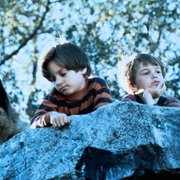Radio Flyer - galeria zdjęć - filmweb