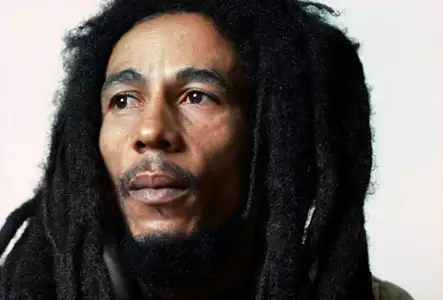 Marley - galeria zdjęć - filmweb