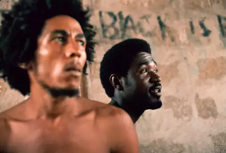 Marley - galeria zdjęć - filmweb