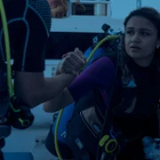 Outer Banks - galeria zdjęć - filmweb