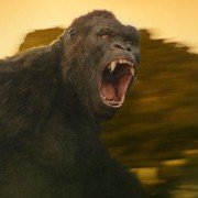 Kong: Skull Island - galeria zdjęć - filmweb