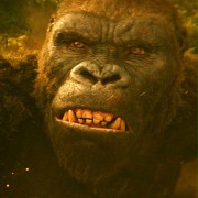 Kong: Skull Island - galeria zdjęć - filmweb