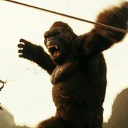 Kong: Skull Island - galeria zdjęć - filmweb