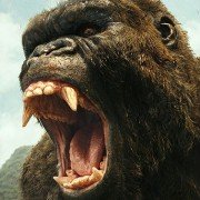 Kong: Skull Island - galeria zdjęć - filmweb