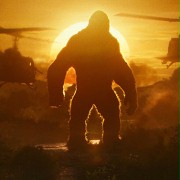 Kong: Skull Island - galeria zdjęć - filmweb