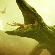 Kong: Skull Island - galeria zdjęć - filmweb